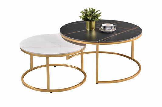 2 IN 1 Coffee Table, AH-50-SS-G